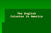 The English Colonies in America