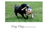 Dog Day  by Samuel Sennott