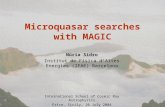 Microquasar searches with MAGIC