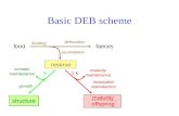 Basic DEB scheme
