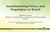Seed/Seedling Policy and Regulation in Brazil Mariana Corrêa