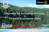 Payment for Ambiental Services in Forestal Ecosistems (PSA)