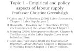 Topic 1 - Empirical and policy aspects of labour supply Professor Christine Greenhalgh