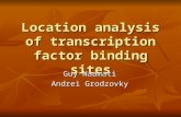Location analysis of transcription factor binding sites