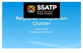 Regional Integration Cluster