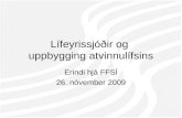 Lífeyrissjóðir og  uppbygging atvinnulífsins