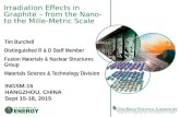 Irradiation Effects in Graphite – from the Nano- to the Mille-Metric Scale