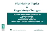 Florida Hot Topics & Regulatory Changes