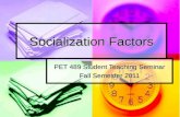 Socialization Factors