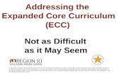 Addressing the  Expanded Core Curriculum (ECC)