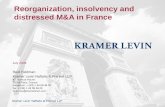 Reorganization, insolvency and distressed M&A in France