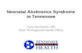 Neonatal Abstinence Syndrome in Tennessee