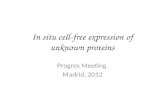 In situ  cell -free  expression  of  unknown proteins