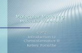 Molecular Modeling: Molecular Vibrations