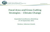 Focal Area and Cross Cutting Strategies – Climate Change