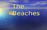 The Beaches