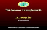 Élő donoros  transzplantáció