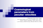 Cosmological parameters from  peculiar velocities