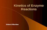 Kinetics of Enzyme Reactions