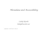 Metadata and Accessibility