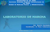 Dra. Morelia Hernández Coordinador: Dr Pérez Colmenares