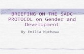 BRIEFING ON THE SADC PROTOCOL on Gender and Development