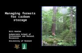 Managing forests for carbon storage