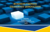 Business Chinese Grassroot  Innovation