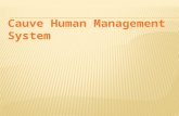 Cauve Human Management System