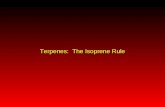 Terpenes:  The Isoprene Rule