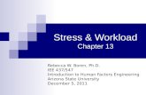 Stress & Workload Chapter 13