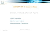 ASPERA WP 2: Neutrino Mass