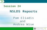 NSLDS Reports