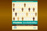 Visible Invisibility