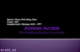 Amino Acids The building blocks of proteins