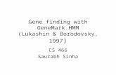 Gene finding with GeneMark.HMM (Lukashin & Borodovsky, 1997 )