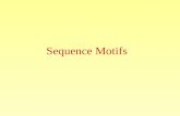 Sequence Motifs