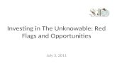 Investing in The Unknowable: Red Flags and Opportunities