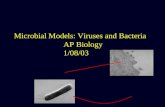 Microbial Models: Viruses and Bacteria AP Biology1/08/03