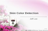 Skin Color Detection