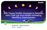 Soft Tissue Profile Changes in Patients with Cleft Lip and Palate Following Maxillary  Osteotomies