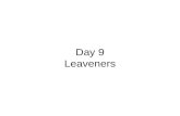 Day 9 Leaveners