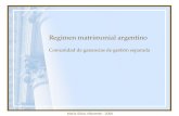 Regimen matrimonial argentino