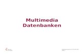 Multimedia Datenbanken