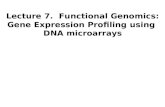 Lecture 7.  Functional Genomics: Gene Expression Profiling using  DNA microarrays