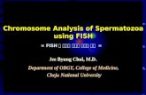 Chromosome Analysis of Spermatozoa using FISH