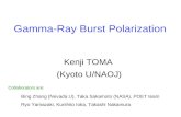 Gamma-Ray Burst Polarization