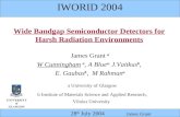 Wide Bandgap Semiconductor Detectors for Harsh Radiation Environments
