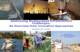 Addressing Multipurpose Infrastructure Challenges: An Overview from Innovative Approaches