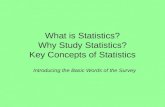 What is Statistics? Why Study Statistics? Key Concepts of Statistics